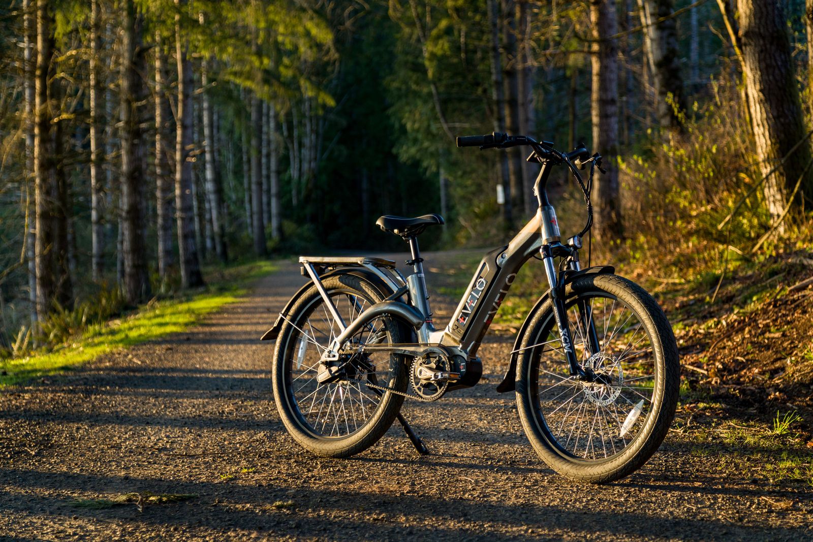 E-bike motor and battery detail