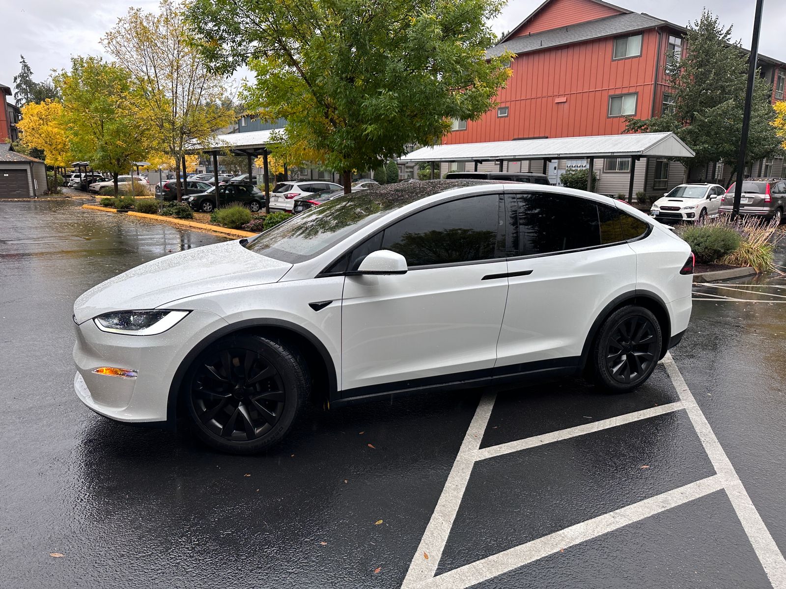 Tesla Model Y and Hyundai Ioniq 5 side by side